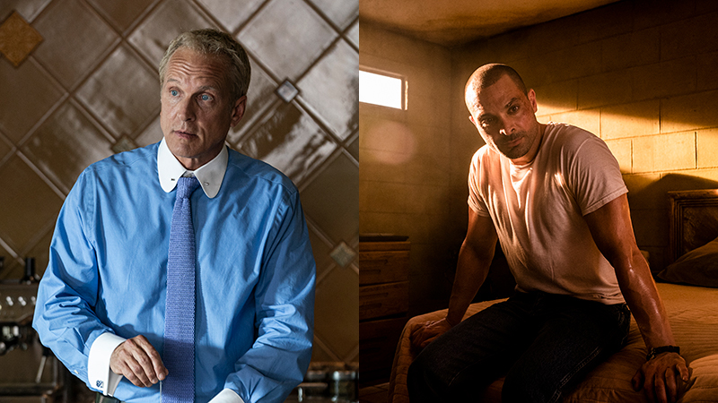 ‘Better Call Saul’ Season 6 Preview: How Patrick Fabian and Michael ...