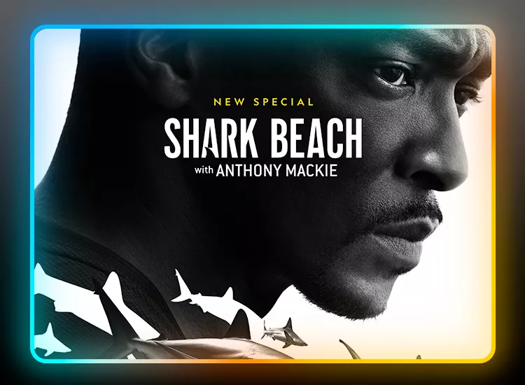 Art for 'Shark Beach: Anothony Mackie Gulf Coast' on Nat Geo Wild