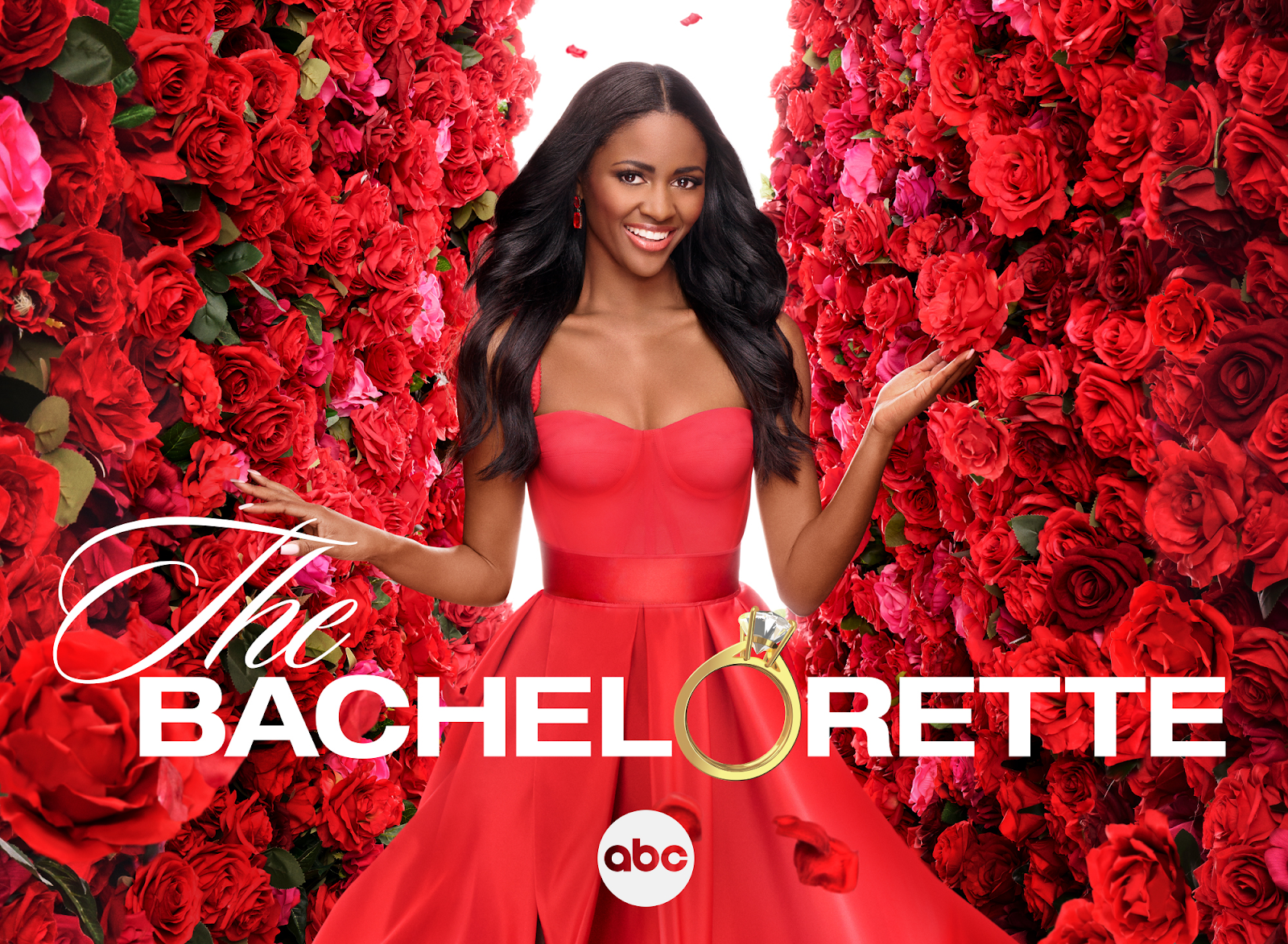 Promotional art for season 20 of The Bachelorette on ABC