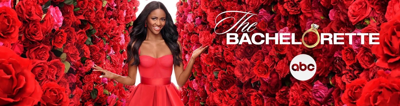 Promotional art for season 20 of The Bachelorette on ABC