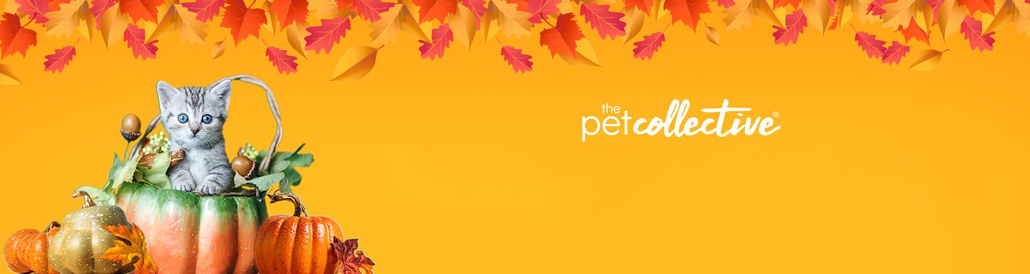 Promotional art for Petsgiving on The Pet Collective