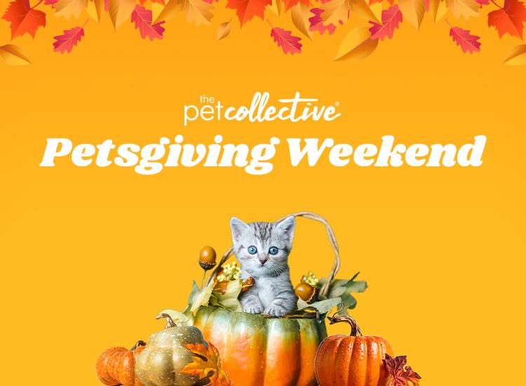 Promotional art for Petsgiving on The Pet Collective