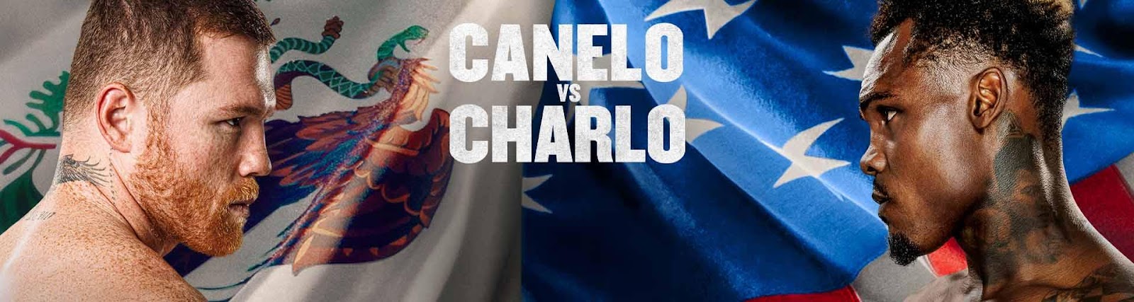 Promotional art for Canelo vs Charlo