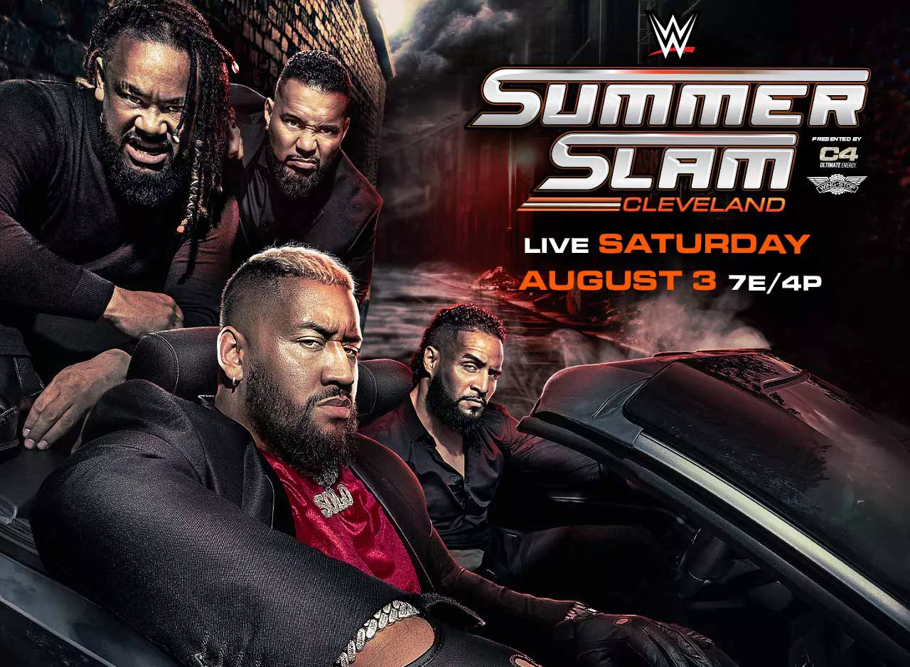 Art for WWE: SummerSlam on PPV